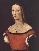 COSTA, Lorenzo, Portrait of a Woman  dfgdf